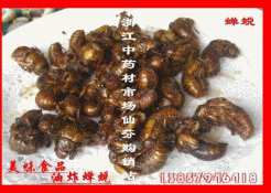 ��˾��Ӫ����Ҫ����ҩ��ϵ��