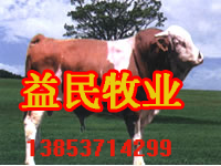 ��ţ�г�
