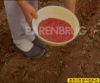 ����ʿ���������
�Ĵ����ǽ���
���в����ߣ������ʺ������ʺ�ι��������