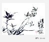 华新阁艺术文化--启明书画