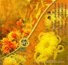 怀菊花,又名甘菊花、真菊、白菊、金精,为古代延年美容、乌须黑发之佳品,还有抗衰老、延长寿命的功效。怀菊花味甘苦、散热解毒、清肝明目、清泻肝火、降低血压、排毒养颜,也可用于热感冒、眼目晕花、头痛、头胀、耳鸣、耳聋、高血压等症。