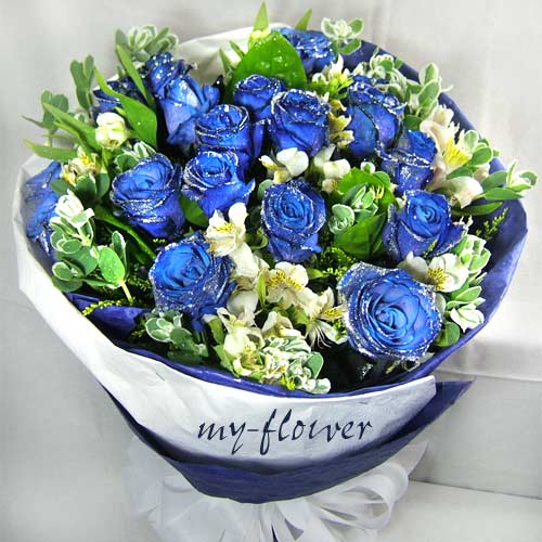 ����һ���ʻ��Ǳ�����