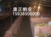 网上育雏和养殖也不是什么高科技的东东,只要用心,都能解决!