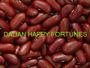  British red kidney bean