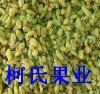 gaochangwangkd�Ĳ���