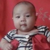 gengguoliang�Ĳ���