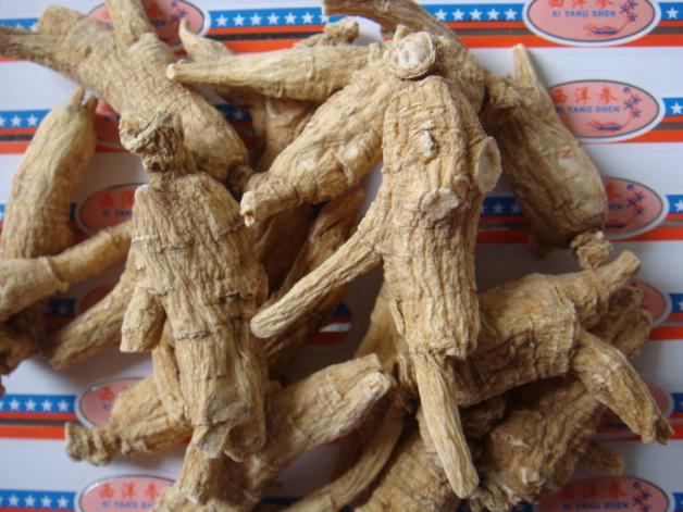 ��Աͷ��