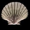 lightingresouce�Ĳ���