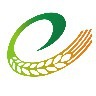 ��Աͷ��
