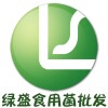 luccis�Ĳ���
