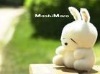 momoqiae�Ĳ���