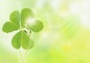 ����С�̵Ĳ���