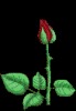 prld�Ĳ���