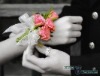 qiyuan5�Ĳ���