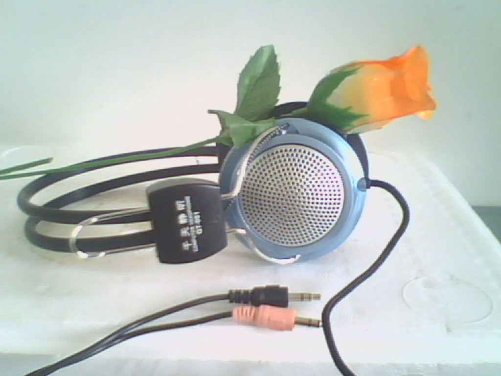 ��Աͷ��