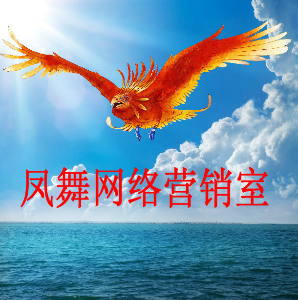Ⱥ��Ĺ����澫��