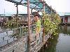 YUELE�Ĳ���
