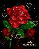 �����Ȳ���ͷ��
