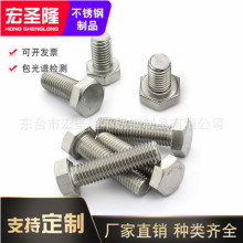 現貨310S/2520螺栓 不銹鋼耐高溫外六角螺栓 M6M8M10M12M14M16