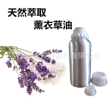 報送碼 薰衣草油 薰衣草水蒸餾工藝提取所得芳香精油 薰衣草精油