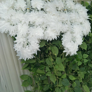 白楓白榕樹葉綠榕樹葉 落地盆景常青綠植 室內外裝飾仿真植物批發