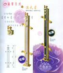 大量供应世博新品—“富贵满天星”