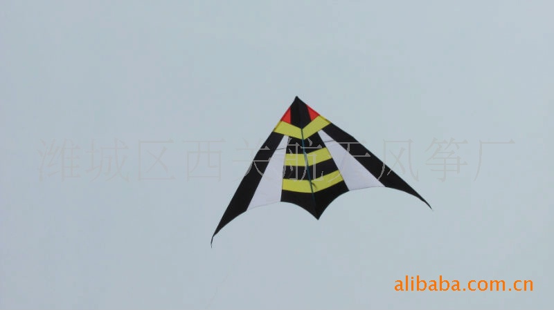风筝厂家批发--2.8,米彩翼风筝【图】