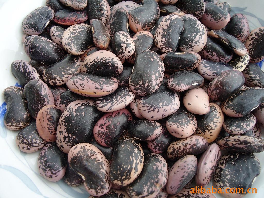 批量出售大黑花豆,黑花芸豆_豆类_粮油作物_种植业_供应_中国农林网