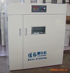 中型孵化机全自动孵化机孵化设备