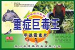 ��Ӧ��ҩ��֢�޶��������μ�Ѽ������İ��ס���Ĥ�׵�