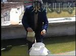 蜂窝壮固定化微生物菌群