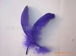 供应人造羽毛制品鸡毛羽毛厂家直销无毒无菌颜色不限