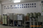 三亚工业专用实验室18兆欧RO反渗透纯水设备(图)