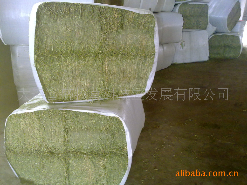 初加工材料 农用物资 饲料与饲料原料 植物性饲料原料 供应进口苜蓿草