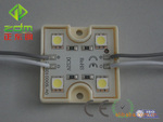 ��ӦLED 5050��Ƭ0.96W���׷�ˮLEDģ��|LEDģ��