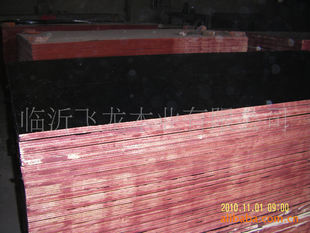 全国招商山东4*8尺建筑膜板 建筑模版 木材 建筑模板木板 模版 防滑覆膜板