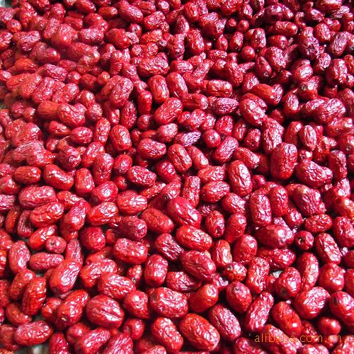 銷售批發新疆紅棗通貨2008年國家隊指定果品
