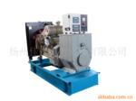 ��Ӧ|����ֱ��|���翵��˹100KW���ͷ������