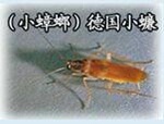 ��ݸ��๫˾����ݸ��ѧɱ���������˾