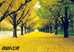 ҹ�С�����3D�������廭���ṩ3D�����Ʒ