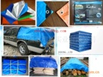 PP/PE篷布.塑料防水油布