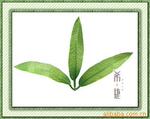 手工丝网花配叶,桃花叶