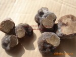 ����ȻҰ���䶳�����2011���»����������л���