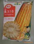 ��Ӧ���16