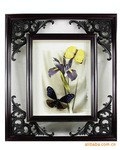 最新时尚装饰画 工艺品 礼品 标本框 角花框 花角框