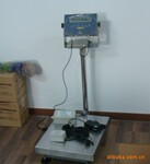供应多种质量可靠、规格齐全、价格低廉防爆秤