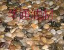 大量供应纯白色 杂色2-4.4-8.8-16.16-32.32-64mm鹅卵石