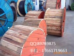 供应耐低温扭转风能电缆,上海永进电缆,上海百强企业(图)