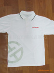 ��������Ӧ����ʿ���з���polo�����������������š�