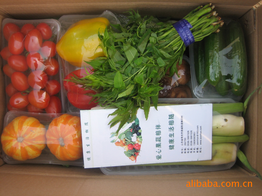 供应绿色9kg斤寿光套菜_寿光礼品菜_蔬菜礼盒_寿光蔬菜博览会